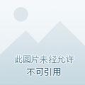 他的奋斗 他的奋斗