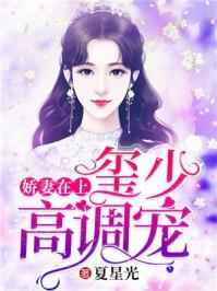 娇妻在上:玺少,高调宠 娇妻在上:玺少,高调宠