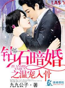 钻石暗婚之温宠入骨 钻石暗婚之温宠入骨