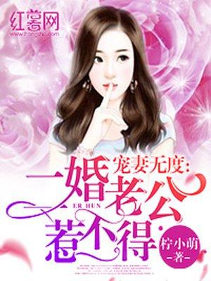 宠妻无度:二婚老公惹不得 宠妻无度:二婚老公惹不得