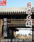 国之大贼 国之大贼