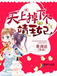 天上掉下个靖王妃 天上掉下个靖王妃