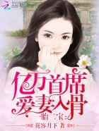 一胎二宝:亿万首席爱妻入骨 一胎二宝:亿万首席爱妻入骨