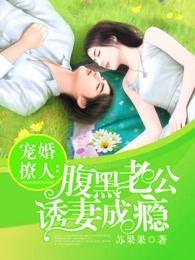 宠婚撩人:腹黑老公诱妻成瘾 宠婚撩人:腹黑老公诱妻成瘾